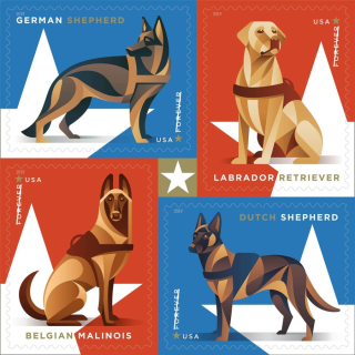 Military dogs Military dogs